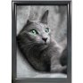Alu snap frame 25 mm, 50 x 70, silver